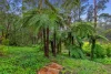 10 Mills Ave, Sassafras, Vic 3787-Image