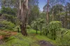 10 Mills Avenue, Sassafras, Vic 3787-Image