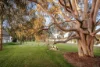 10 Mitchell Street, Ebden, Vic 3691-Image