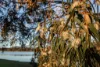 10 Mitchell Street, Ebden, Vic 3691-Image