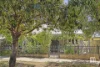10 Monument Street, Mosman Park, WA 6012-Image