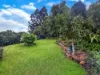 10 Moore Street, Kyogle, NSW 2474-Image
