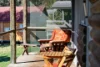10 Morses Court, Tawonga South, Vic 3698-Image