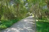 10 North Beach Place, Mudjimba, Qld 4564-Image