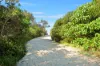 10 North Beach Place, Mudjimba, Qld 4564-Image