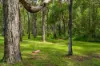 10 O'Keeffe Road, Mothar Mountain, Qld 4570-Image