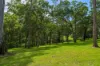 10 O'Keeffe Road, Mothar Mountain, Qld 4570-Image