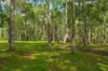 10 O'Keeffe Road, Mothar Mountain, Qld 4570-Image