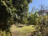 10 OLIVE STREET, Fairfield, NSW 2165-Image