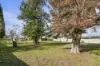 10 Park Street, Uralla, NSW 2358-Image