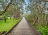 10 Parsons Bank Drive, Twin Waters, Qld 4564-Image