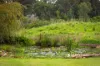 10 Patison Court, Drouin, Vic 3818-Image