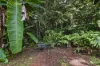 10 Pavetta Close, Bentley Park, Qld 4869-Image