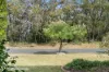 10 Pettys Avenue, Ulladulla, NSW 2539-Image