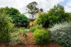 10 Phyllis Crescent, McKenzie Hill, Vic 3451-Image