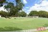 10 Pidcock Street, Camperdown, NSW 2050-Image