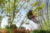 10 Plane Tree Close, Bowral, NSW 2576-Image