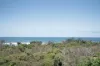 10 Plover Street, Peregian Beach, Qld 4573-Image