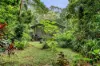 10 Quandong Road, Cow Bay, Daintree, Qld 4873-Image