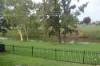10 Queens Terrace, Inverell, NSW 2360-Image