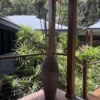 10 Rainforest Road, Edmonton, Qld 4869-Image