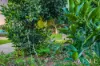 10 REECE COURT, Beaudesert, Qld 4285-Image