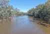 10 Riverview Drive, Barham NSW 2732-Image