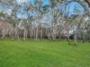 10 Romawi Road, Forge Creek, Vic 3875-Image