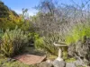 10 Romilly Street, South Hobart, Tas 7004-Image