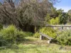 10 Romilly Street, South Hobart, Tas 7004-Image