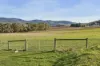 10 Rookwood Road, Ranelagh, Tas 7109-Image