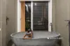 10 Scenic Road, Warragul, Vic 3820-Image