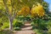 10 School Road, Musk, Vic 3461-Image
