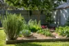 10 Scott Street, North Rothbury, NSW 2335-Image