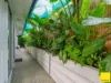 10 Seclusion Drive, Palm Cove, Qld 4879-Image