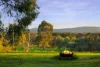 10 Shrimpton Lane, Splitters Creek, NSW 2640-Image