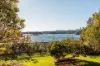 10 Simmons Street, Balmain East, NSW 2041-Image