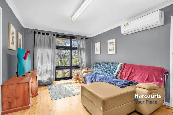 10 Slessor Place, Blackett, NSW 2770