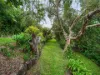 10 Somerset Drive, Buderim QLD 4556-Image