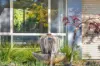 10 St Martins Grove, Bowral, NSW 2576-Image