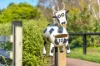 10 St Martins Grove, Bowral, NSW 2576-Image