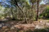 10 Stanton Way, Leschenault, WA 6233-Image