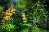 10 Stewart Street, Margaret River, WA 6285-Image