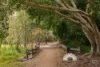 10 Tamborine Place, Narangba, Qld 4504-Image