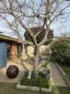 10 Tarakan Heights, Marangaroo, WA 6064-Image