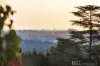 10 Taruna Rise, Montrose, Vic 3765-Image