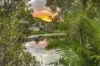 10 The Foreshore, Bogangar, NSW 2488-Image