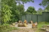 10 The Straight Road, Mulgoa, NSW 2745-Image