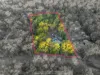 10 Thomas Court, Cashmere, Qld 4500-Image