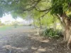 10 Thomas Street, Bowen, Qld 4805-Image